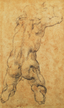 Nudo Virile Inginocchiato
