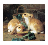 Bunnies' Meal I