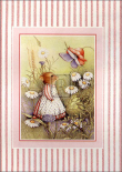 Country Mouse I