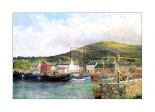 Dingle Harbour