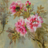 Paeona I
