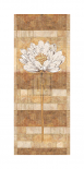 Flora Blanca II