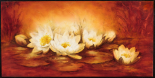 Water Lilies