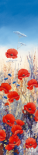 Poppy Field I