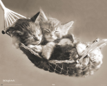 Keith Kimberlin - hammock