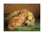 Kitten and Puppy