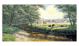 Tranquil Pasture